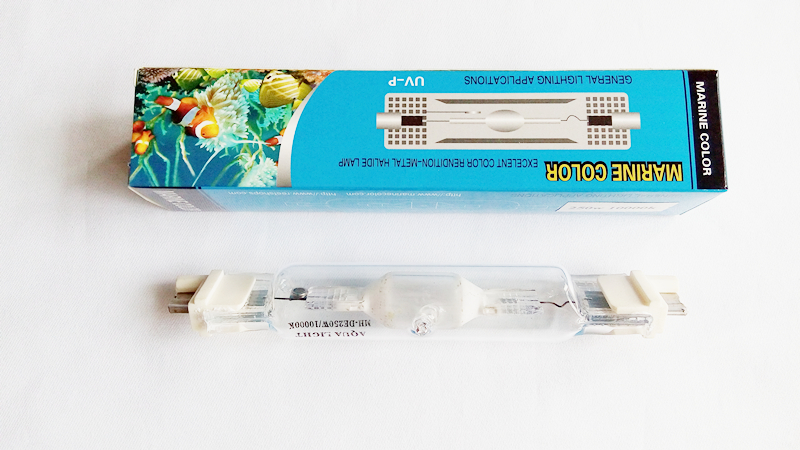 Marine Aquarium Live Sand - COLORE MARINO 250 w 10 k