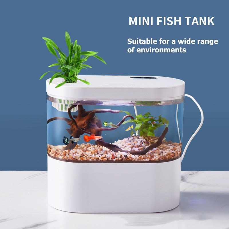 Marine Aquarium Water Change - Mini Acquario da Tavolo con Sistema