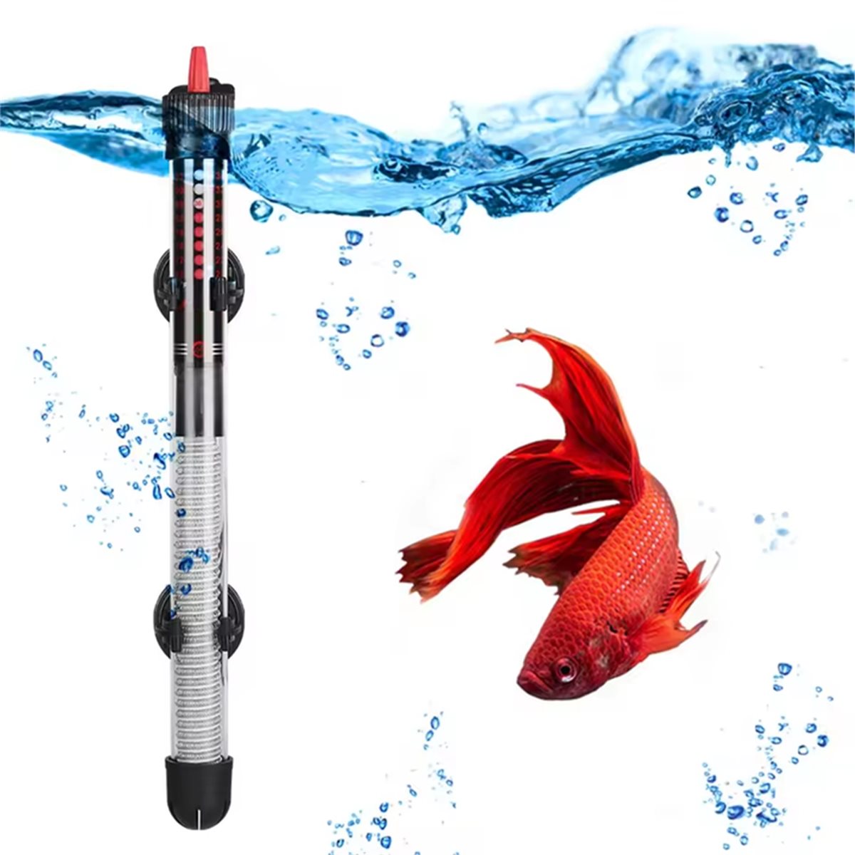 (A02R) Riscaldatore Sommergibi - Aquarium & Marine Museum Kota Kinabalu recensione e prezzo