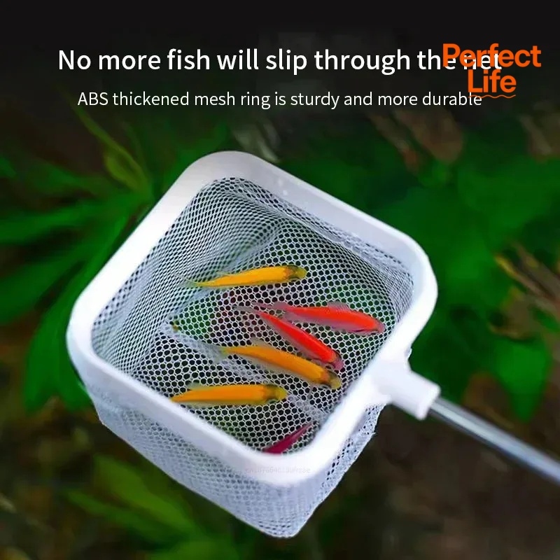 1 o 2 Pezzi Rete da Pesca in A - Aquarium Marineland recensione e prezzo