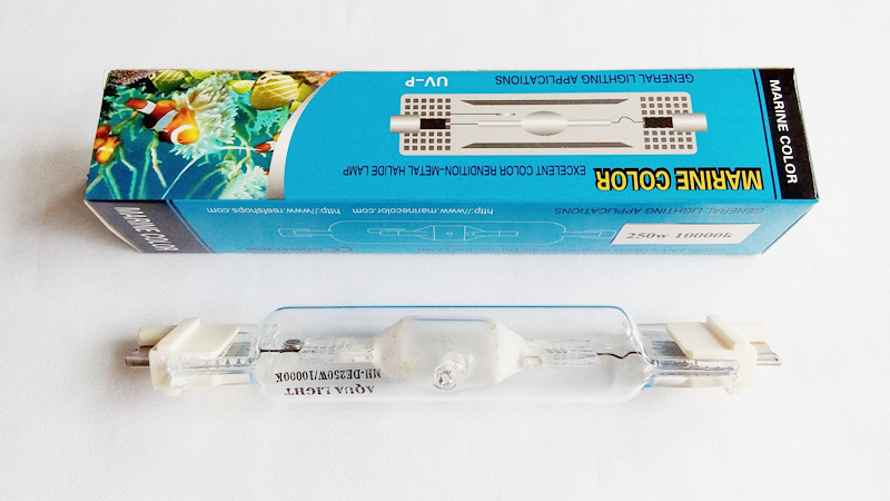 COLORE MARINO 250 w 10 k 14 k  - Marine Aquarium Live Sand recensione e prezzo