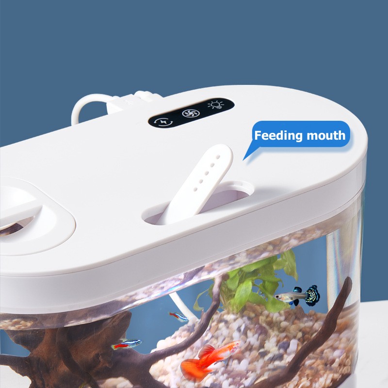 Mini Acquario da Tavolo con Si - Marine Aquarium Water Change recensione e prezzo