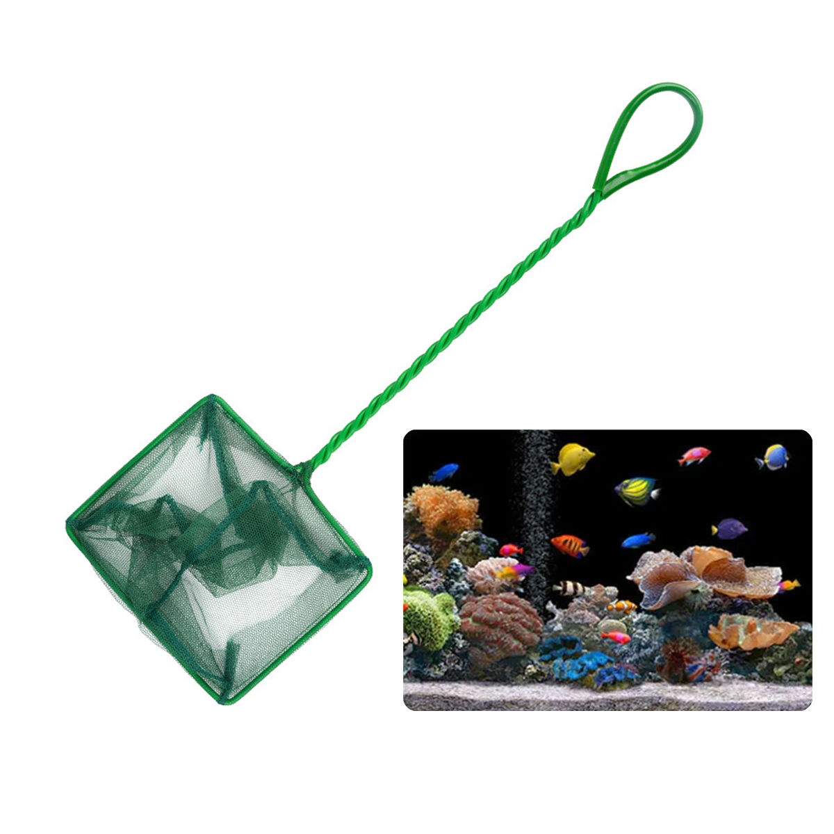 3 ~ 10 pollici portatile in ny - Aquarium Marineland recensione e prezzo