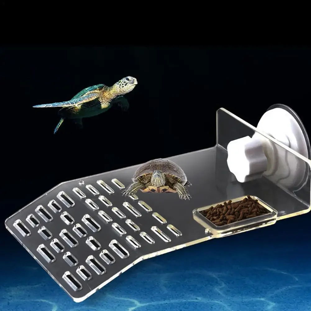 Piattaforma di Sbarco per Tart - Aquarium Marineland recensione e prezzo